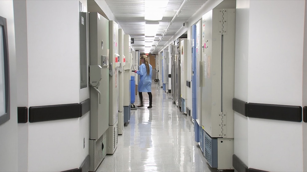 Laboratory corridor