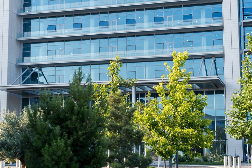 Tree-lined commercial office building